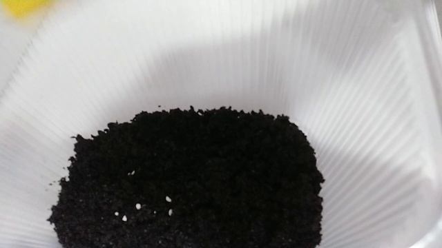 Выращиваем  Триходерму  на спитом кофе из препарата 