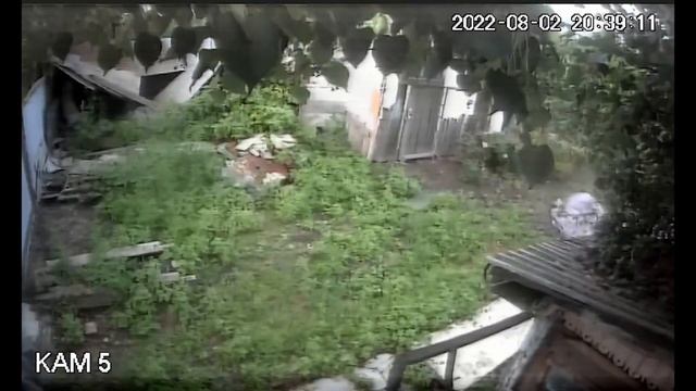 Кража Хабаровск. Более подробно смотрите в следующих видео, где я буду разбирать действия следствия смотреть онлайн