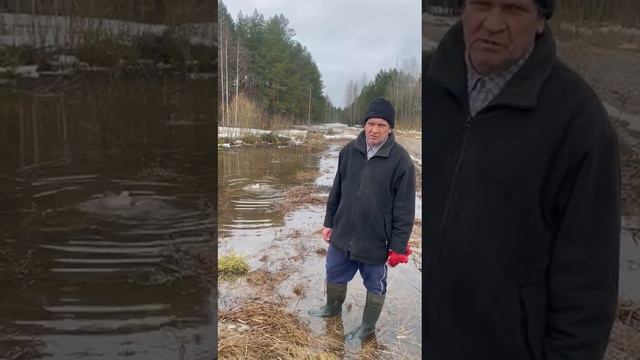 Подсадные утки смотреть онлайн