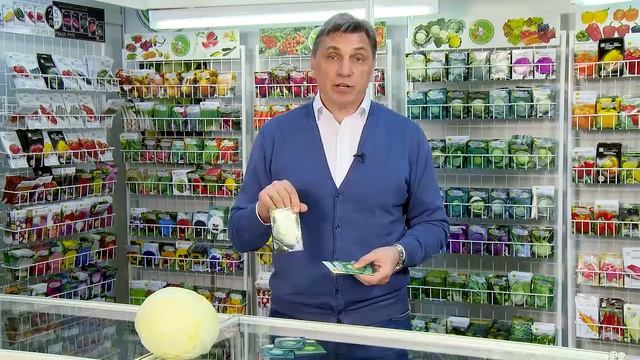 17 Капуста белокочанная для квашения и хранения смотреть онлайн