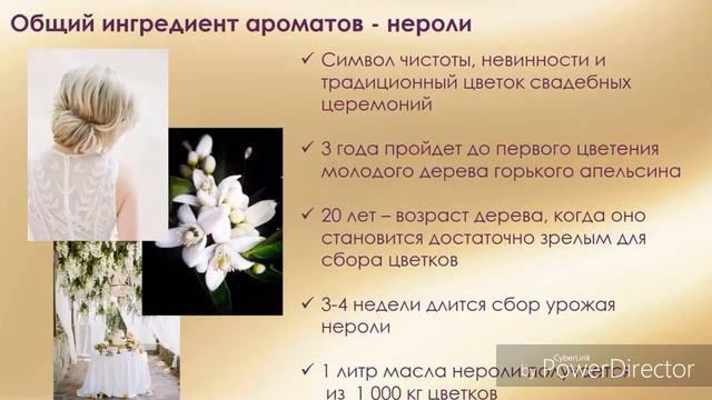 Легендарная трилогия ароматов TTA смотреть онлайн