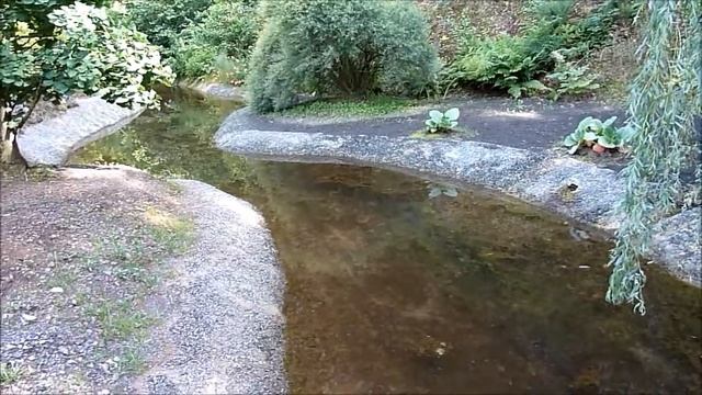 Японский сад в польской глубинке смотреть онлайн