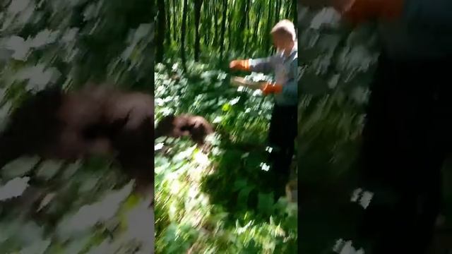 Заготовка муравьиного яйца .часть первая смотреть онлайн