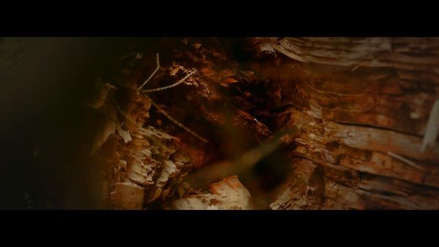 Тизер до повнометражного художнього фільму «Свято збору урожаю». смотреть онлайн