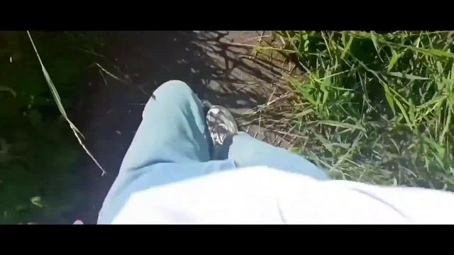 FIDLAR. I JUST WANNA DIE (ft. Remake) смотреть онлайн