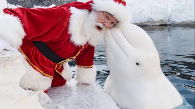 С улыбкой в Новый Год! смотреть онлайн