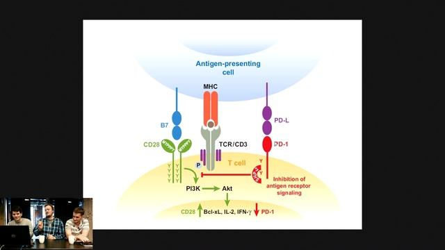 Наука на завтрак #15 смотреть онлайн