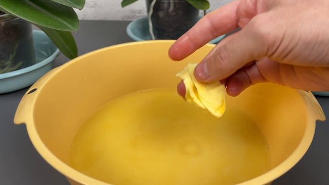 Unglaublich! Nur 1 Löffel und die Orchidee blühte sofort! смотреть онлайн