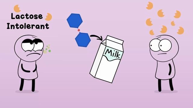 Enzymes (Updated).mp4 смотреть онлайн