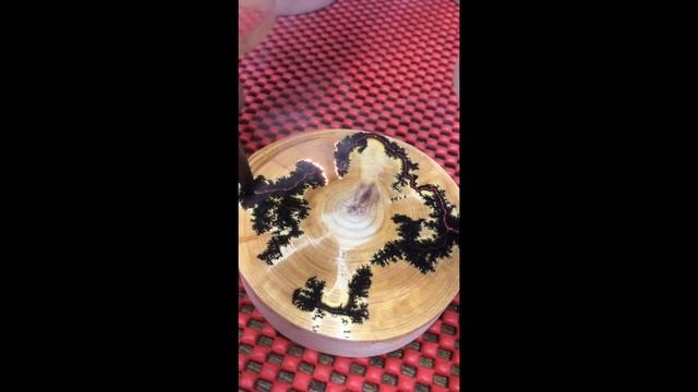 Lichtenberg Fractal Wood Burning on Cypress смотреть онлайн