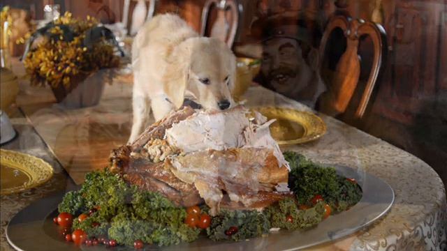 Собака / басни Крылова смотреть и слушать онлайн/ озвучка женским голосом / Зайкин канал