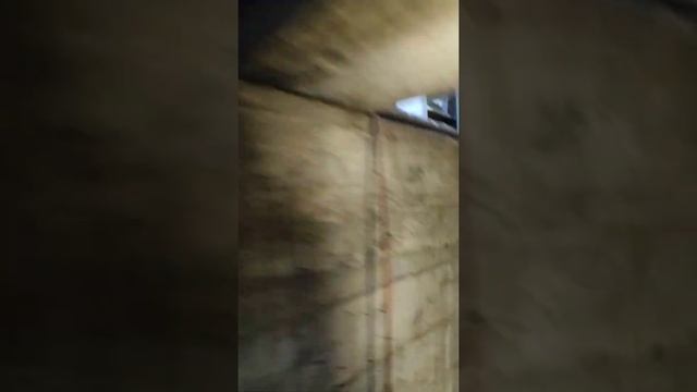 Renault Logan 2019 почти новый и уже немного ржавый!!!))) смотреть онлайн