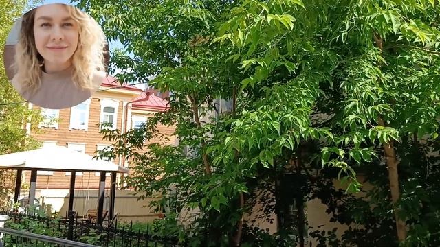 Realme Narzo 50 - слишком классный для бюджетника! Топ смартфон, Helio G96 5000 мАч камера 50 МП
