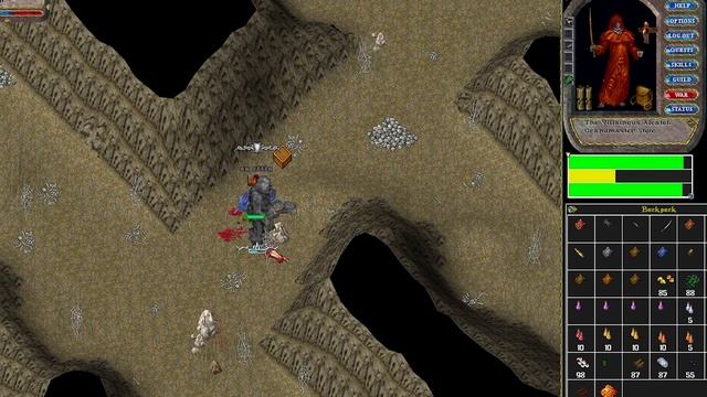 Ultima Online Orion Client TOP 5 Settings