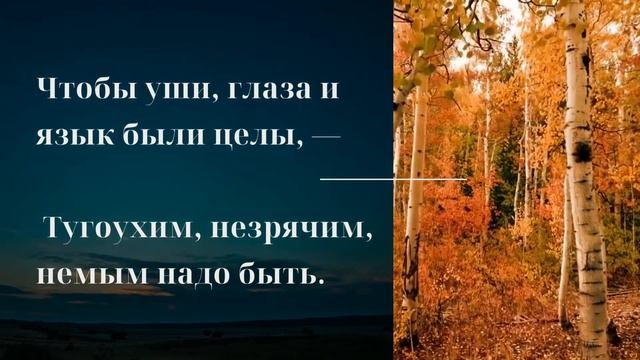 Великие цитаты Омара Хайяма | Афоризмы, цитаты, стихи, высказывания великих людей смотреть онлайн