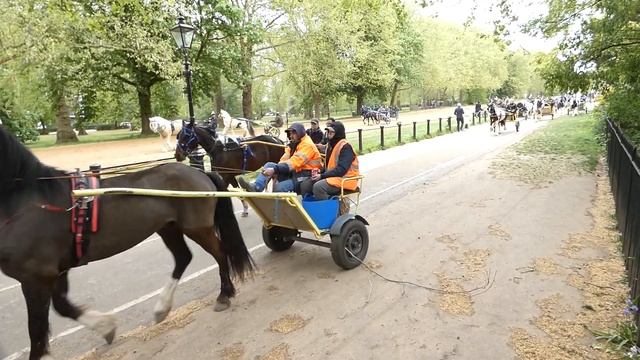 Trotting in Rotten Row смотреть онлайн