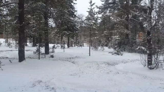 Мото зима - Марсель и Виктор смотреть онлайн