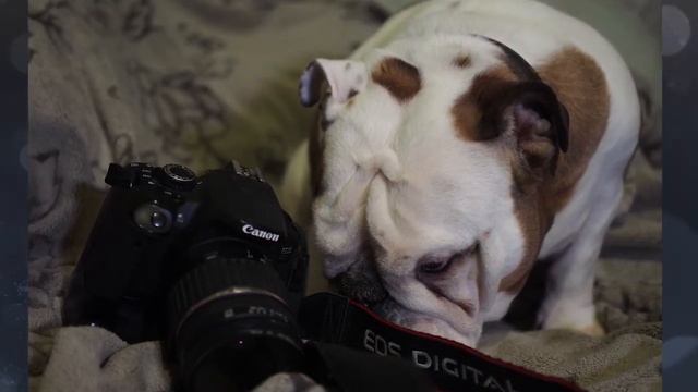 Приветствую моих зрителей смотреть онлайн