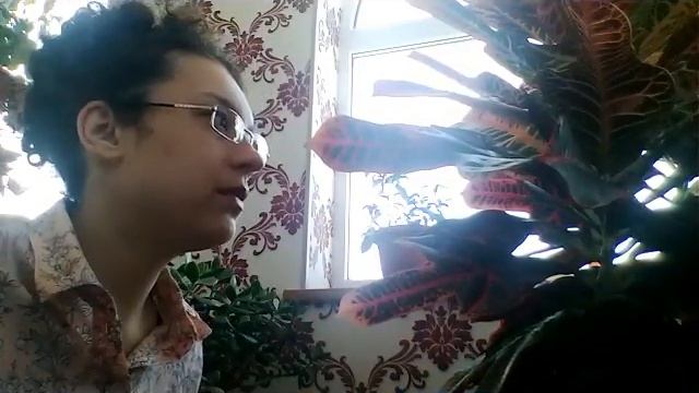 Как я ухаживаю за кротоном смотреть онлайн