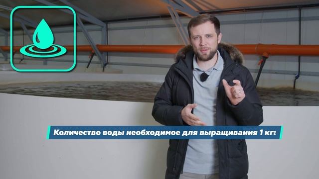ТОП 15 шагов как составить БИЗНЕС ПЛАН фермы УЗВ | Как открыть СВОЙ БИЗНЕС | Бизнес с НУЛЯ смотреть онлайн