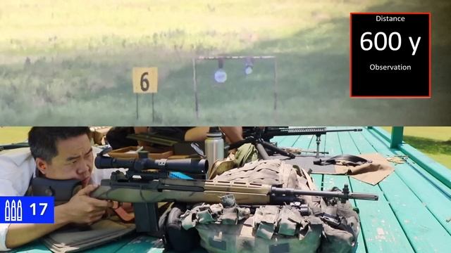 M21 to 800yds: Practical Accuracy (Leupold Mk4 LR/T 3.5-10x40mm, M14/M1a sniper) смотреть онлайн