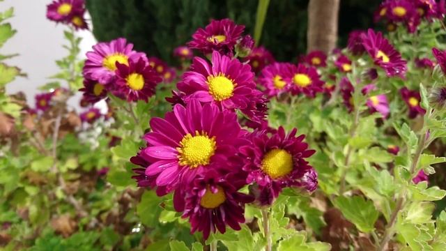 "Так много нужно превозмочь..." смотреть онлайн