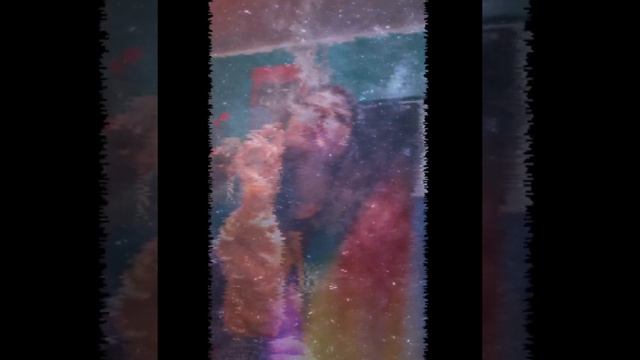 Dont break me - cafe en la luna (sound experimental) смотреть онлайн