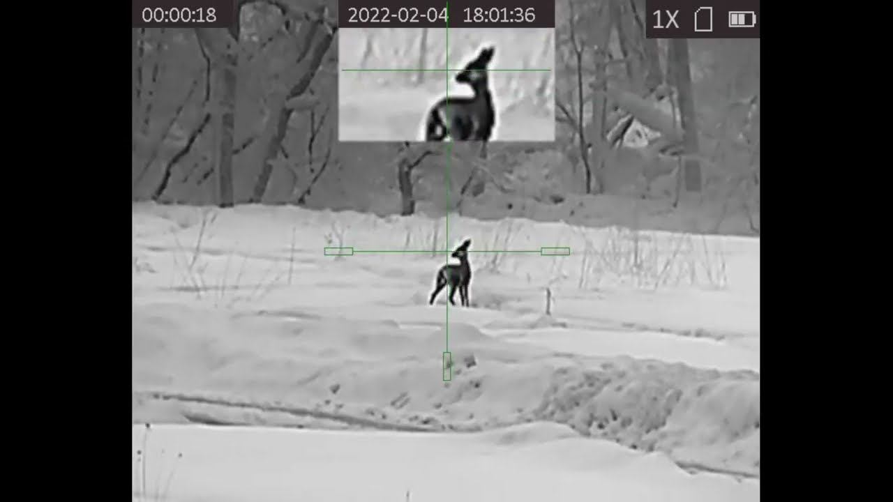 HIKMICRO PANTHER PH35L 384x288 Тест прицела с вышки.