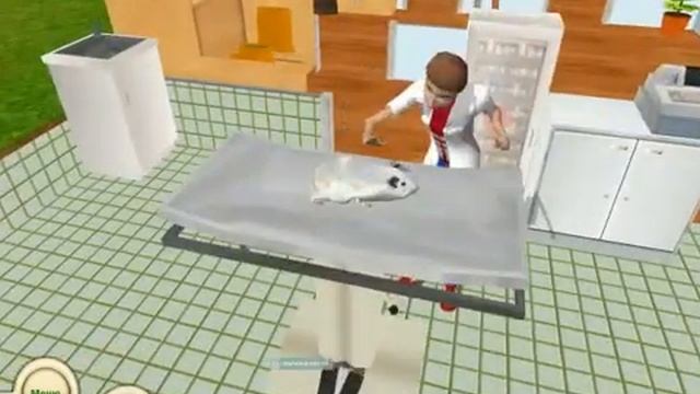 Обзор игры Звери, птицы и больница смотреть онлайн