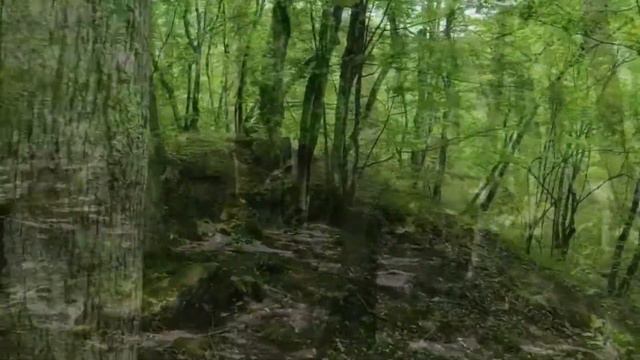 Видеоэкскурсия по долине реки Жане ( Геленждик) смотреть онлайн