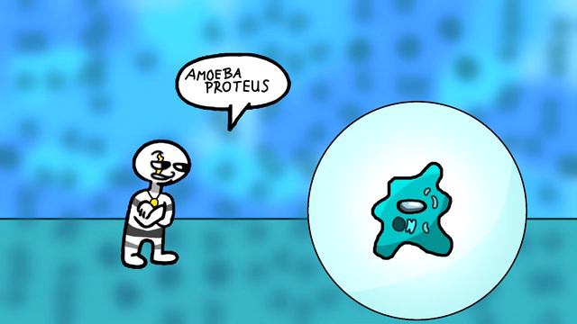 Amoeba ProteUS смотреть онлайн