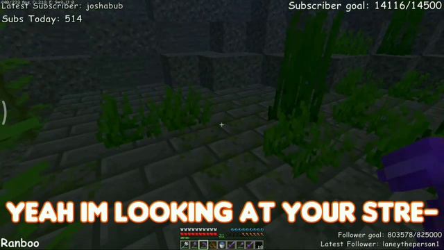 RANBOO finds stronghold in DreamSMP смотреть онлайн