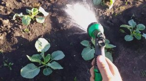 Полив огорода из бочки насосной станции