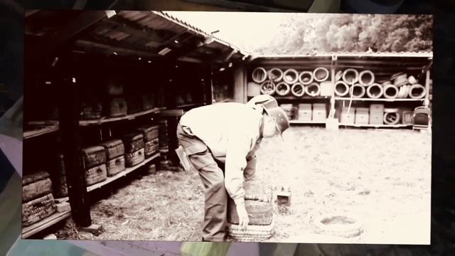 ...и создал он улей... смотреть онлайн