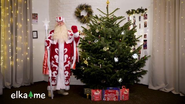 Датская пихта (Пихта Нордмана)