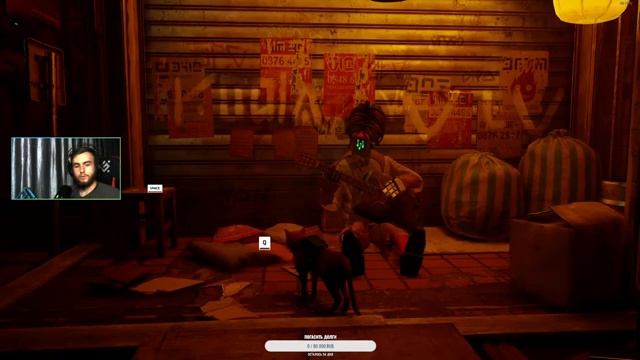 ?СТРИМ Stray смотреть онлайн