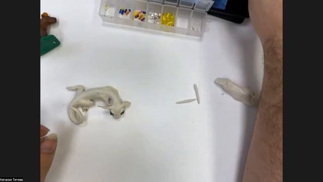 video2575968750 смотреть онлайн