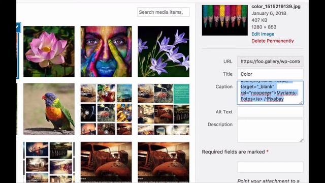 How to Add Links in Image Captions and FooBox Lightbox in WordPress смотреть онлайн