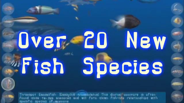 Big Kahuna Reef 2: Chain Reaction смотреть онлайн