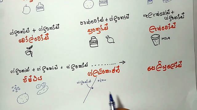 කාබෝහයිඩ්රේට / Carbohydrates - O/L Science смотреть онлайн