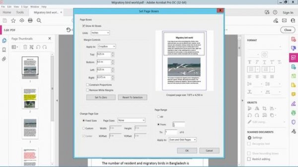 How to Crop Pages in a PDF Document using adobe acrobat pro dc