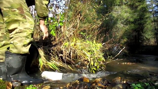 Дух россыпи не в духе. Мистика, да и только смотреть онлайн