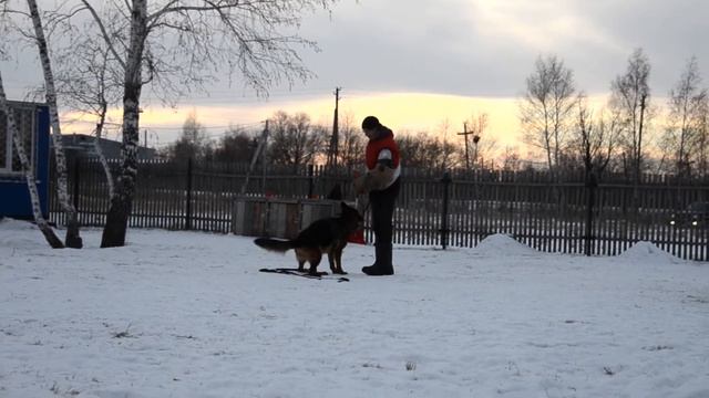 Жанет из Белого Яра