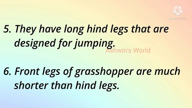 10 Lines on Grasshopper🦗 in English!! Short Essay on Grasshopper!! Ashwin's World смотреть онлайн