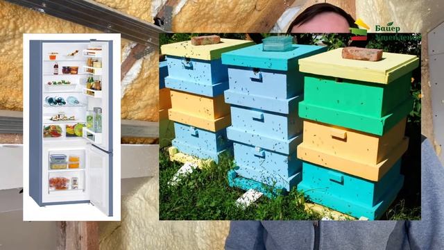 Гниёт дерево под ППУ?! смотреть онлайн