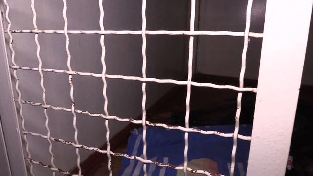 На Вінниччині вирує сказ: постраждало четверо людей