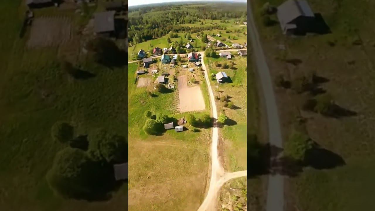 Треня #drone #dji #fpvdrone #fpv смотреть онлайн