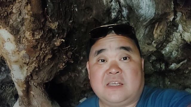 Очень много интересного в этом месте! Ургут - Самарканд | Что посмотреть в Узбекистане. смотреть онлайн