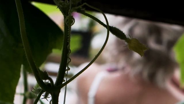 Bakstage мастер класса Марины Кабаевой смотреть онлайн