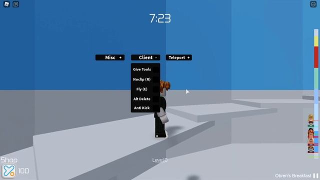TOWER OF HELL GUI ROBLOX (TP TO END AND MORE) смотреть онлайн